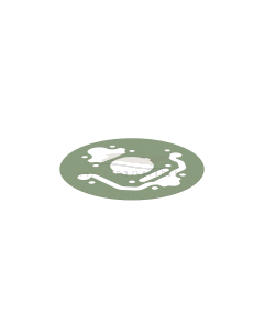 VOLVO PENTA GASKET - 3586693 - VP3586693