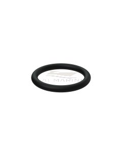 RUBBER RING - VP813967