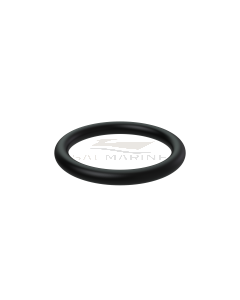 O-RING - 976109