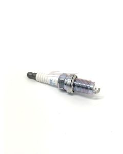 IMGE5281
